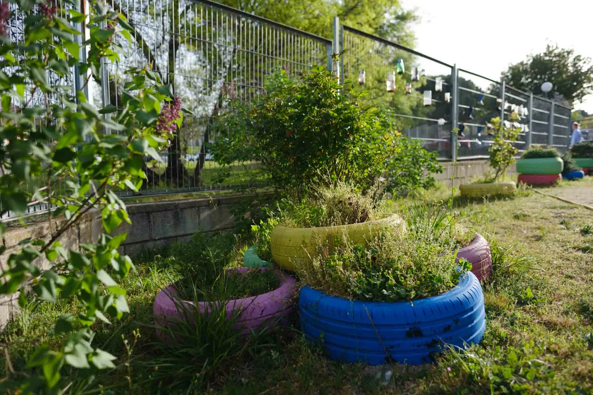 Eco-escuela