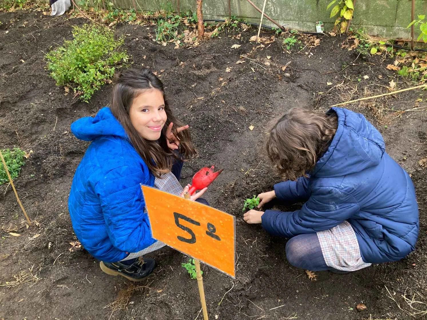 Eco-school 5