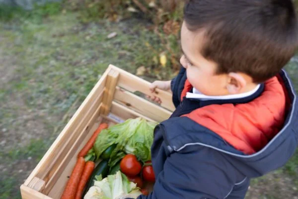 What is the Green Learning methodology?