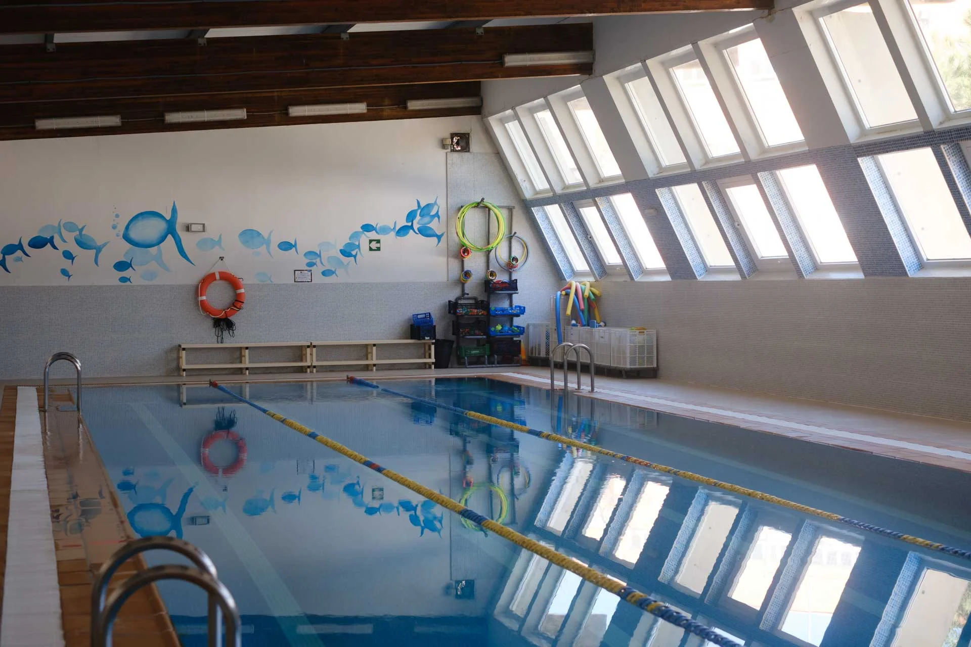 Natación