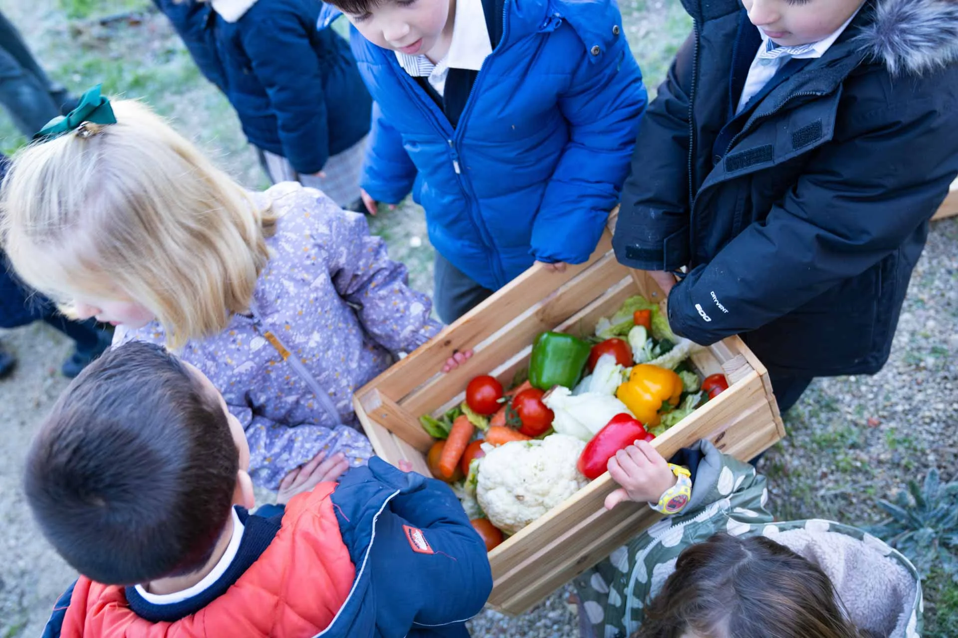 Green Learning