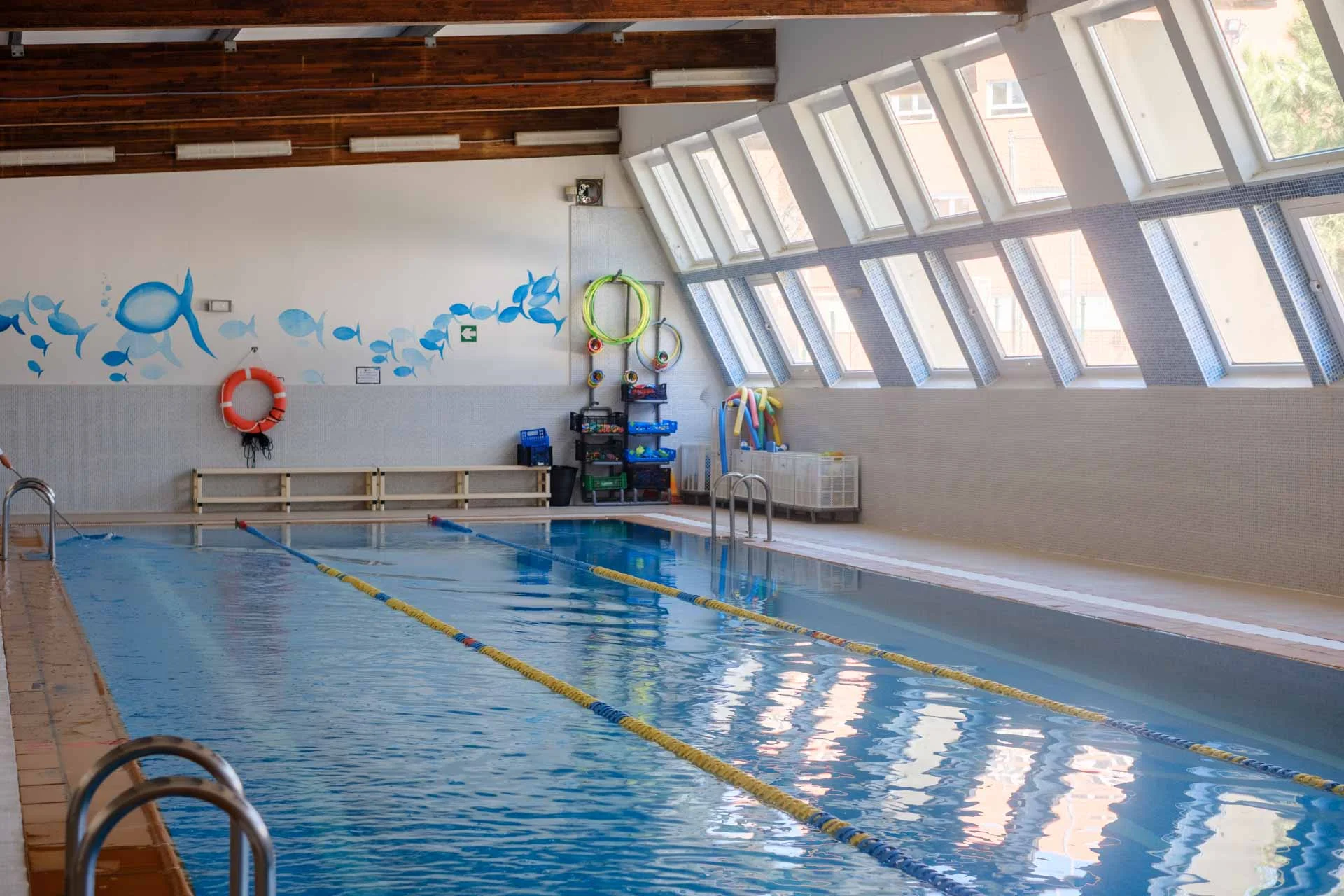 Natación
