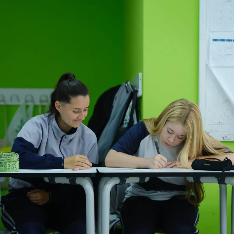 Excelencia académica