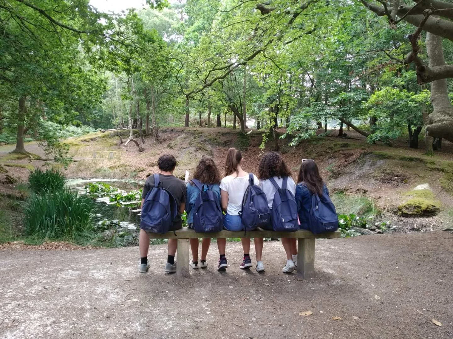 Campamentos de verano 1